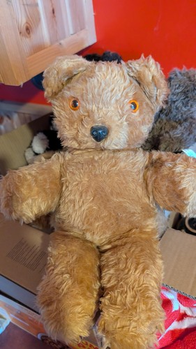 Teddy bear with - teddy, orange